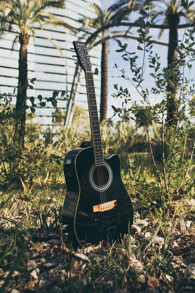 绿色草地上黑色的木吉他
